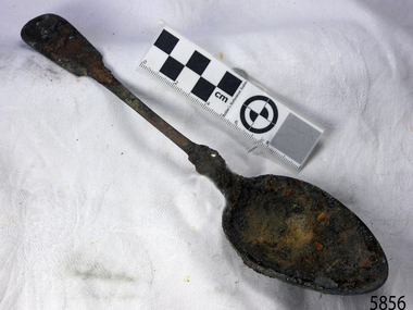 Spoon in golden colour covered with black and green marks and sea crustaceans