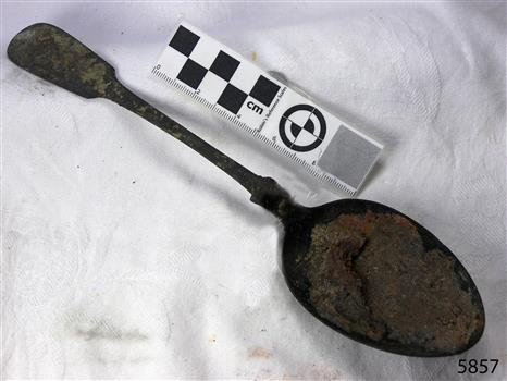 Spoon in golden colour covered with black and green marks and sea crustaceans