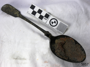 Spoon in golden colour covered with black and green marks and sea crustaceans