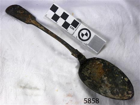 Spoon in golden colour covered with black and green marks and sea crustaceans