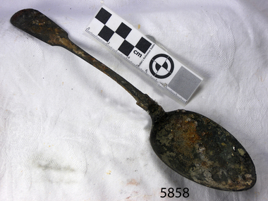 Spoon in golden colour covered with black and green marks and sea crustaceans