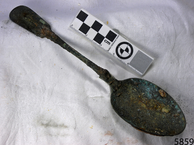 A large spoon golden in colour covered in black marks and sea crustaceans
