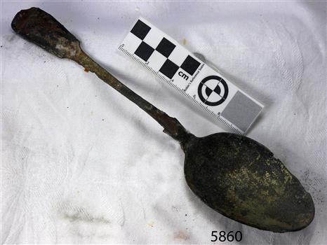 Spoon in golden colour covered with black and green marks and sea crustaceans