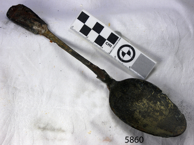 Spoon in golden colour covered with black and green marks and sea crustaceans