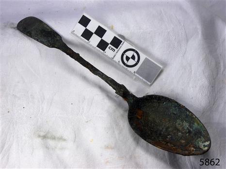 Spoon in golden colour covered with black and green marks and sea crustaceans