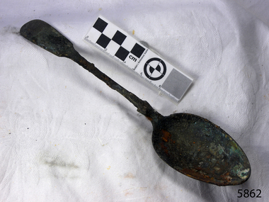 Spoon in golden colour covered with black and green marks and sea crustaceans