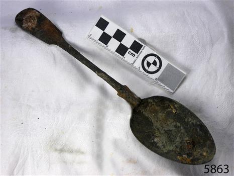 Spoon in golden colour covered with black and green marks and sea crustaceans