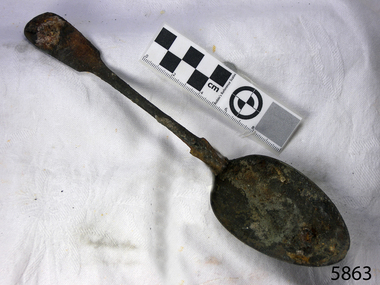 Spoon in golden colour covered with black and green marks and sea crustaceans