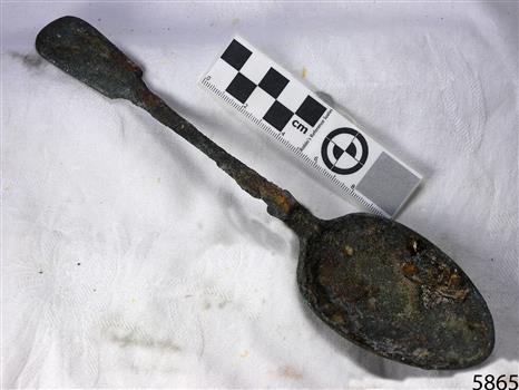 Spoon in golden colour covered with black and green marks and sea crustaceans