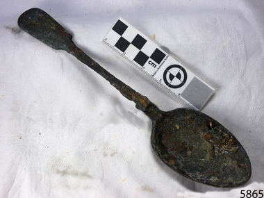 Spoon in golden colour covered with black and green marks and sea crustaceans