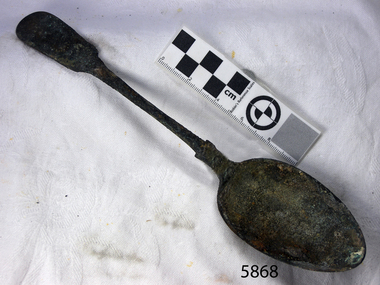 Spoon in golden colour covered with black and green marks and sea crustaceans