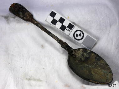 Spoon in golden colour covered with black and green marks and sea crustaceans