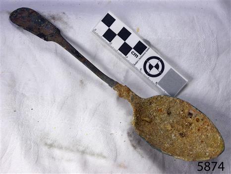 Spoon in golden colour covered with black and green marks and sea crustaceans