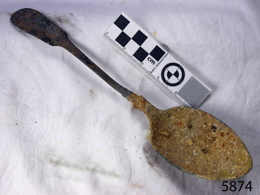 Spoon in golden colour covered with black and green marks and sea crustaceans