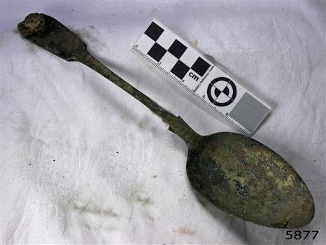 Spoon in golden colour covered with black and green marks and sea crustaceans