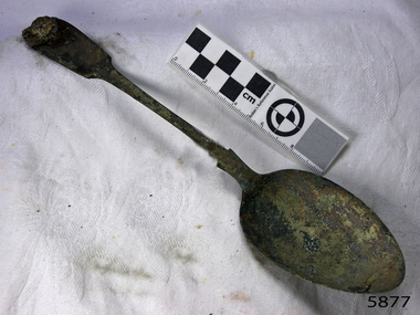 Spoon in golden colour covered with black and green marks and sea crustaceans