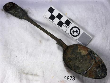 Spoon in golden colour covered with black and green marks and sea crustaceans
