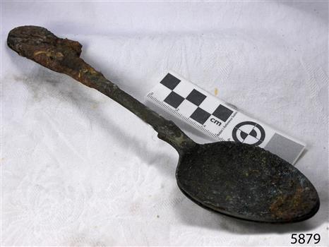 Spoon in golden colour covered with black and green marks and sea crustaceans