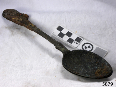 Spoon in golden colour covered with black and green marks and sea crustaceans
