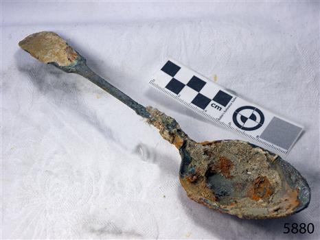Spoon in golden colour covered with black and green marks and sea crustaceans