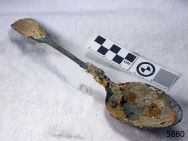 Spoon in golden colour covered with black and green marks and sea crustaceans