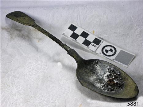 Spoon in golden colour covered with black and green marks and sea crustaceans