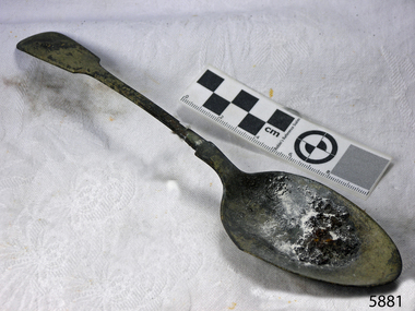 Spoon in golden colour covered with black and green marks and sea crustaceans