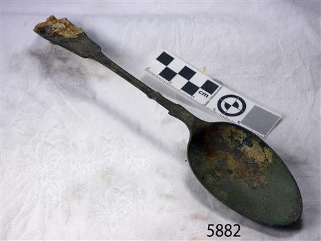 Spoon in golden colour covered with black and green marks and sea crustaceans