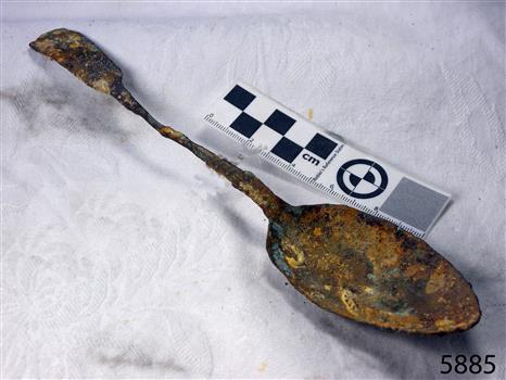 Spoon in golden colour covered with black and green marks and sea crustaceans