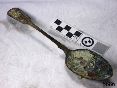 Spoon in golden colour covered with black and green marks and sea crustaceans