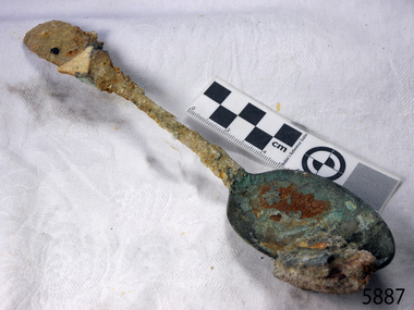 Spoon in golden colour covered with black and green marks and sea crustaceans