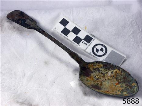 Spoon in golden colour covered with black and green marks and sea crustaceans