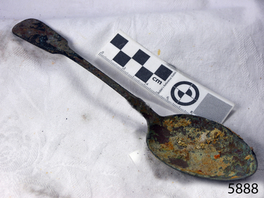 Spoon in golden colour covered with black and green marks and sea crustaceans