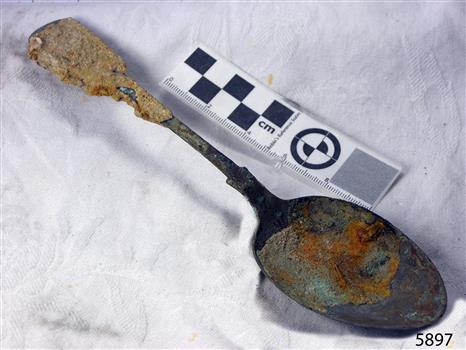 Spoon in golden colour covered with black and green marks and sea crustaceans