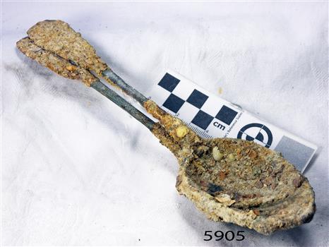 Spoons are joined by a conglomeration of encrustations from the seabed.
