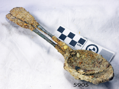 Spoons are joined by a conglomeration of encrustations from the seabed.