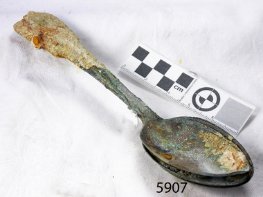 Spoons stuck together golden in colour covered in black and green marks and sea crustaceans