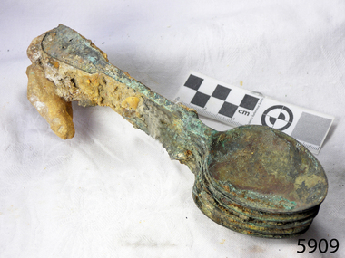 Spoons stuck together golden in colour covered in black and green marks and sea crustaceans
