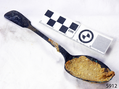 Spoon in golden colour covered with black and green marks and sea crustaceans