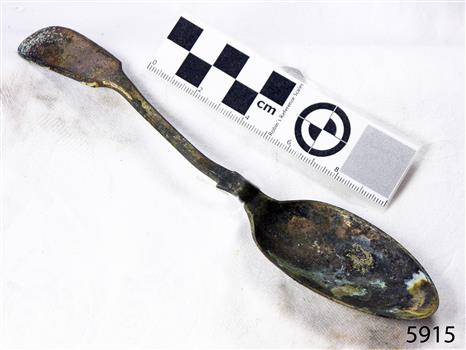 Spoon in golden colour covered with black and green marks and sea crustaceans