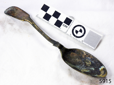 Spoon in golden colour covered with black and green marks and sea crustaceans