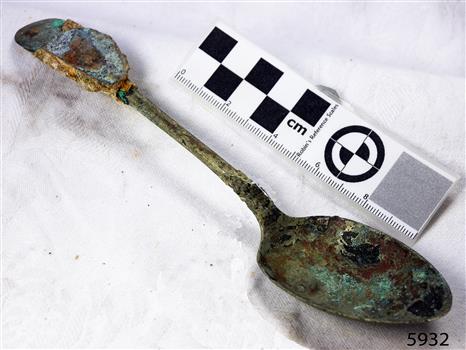 A large spoon golden in colour covered in black and green marks and sea crustaceans