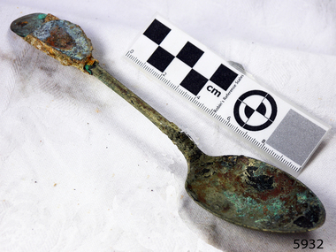 A large spoon golden in colour covered in black and green marks and sea crustaceans