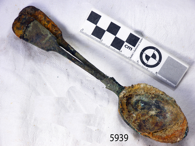 Spoon in golden colour covered with black and green marks and sea crustaceans