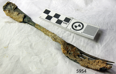 A large spoon golden in colour covered in black marks and sea crustacean