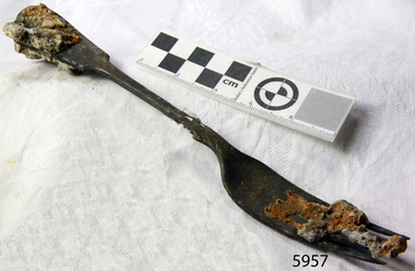 Fork
