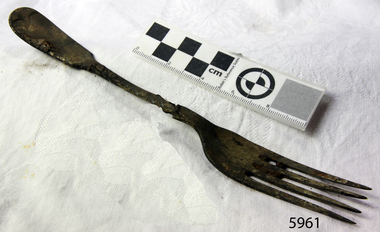 Fork