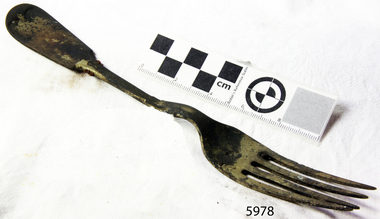 Fork
