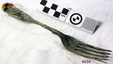 Fork