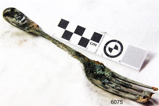 Fork in golden colour covered with black and green marks and sea crustaceans